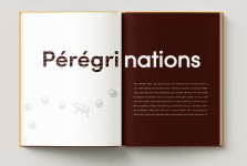 IMG-20250826-WA0016b